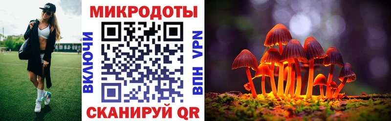 Галлюциногенные грибы Psilocybine cubensis  Каменск-Уральский 