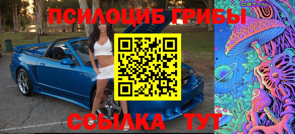 Галлюциногенные грибы GOLDEN TEACHER  купить наркотики цена  Вход с VPN  Каменск-Уральский  Псилоцибиновые грибы мицелий 