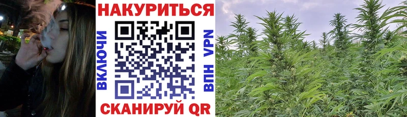 где купить наркоту  Каменск-Уральский  Конопля планчик 